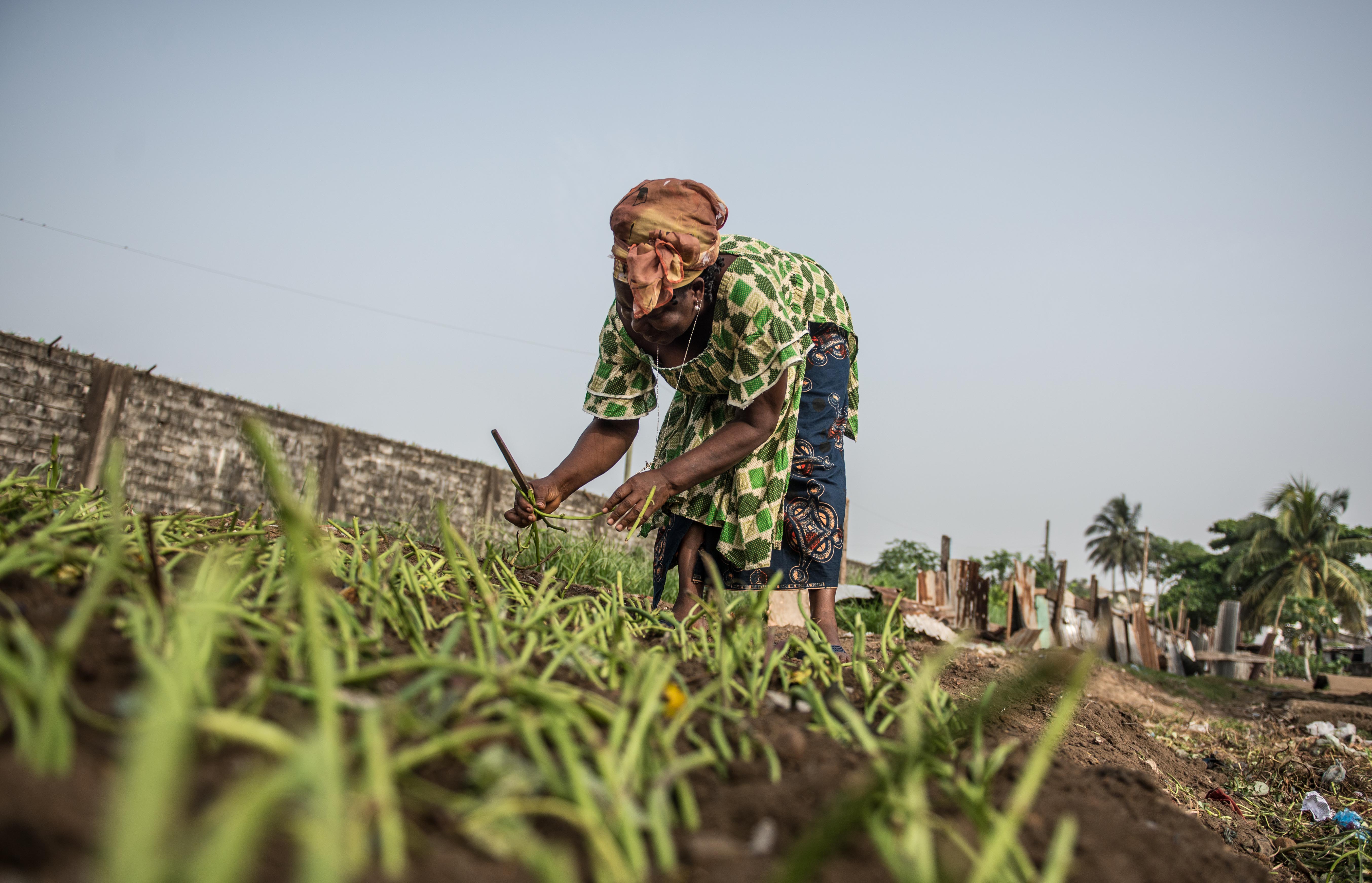 瑪莉在家附近的空地種菜,肥料來自家中的蚯蚓廁所,既免費又有機。(照片︰Tommy Trenchard / 樂施會)